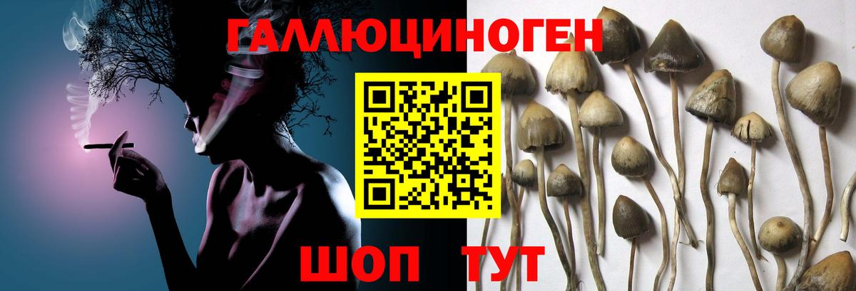 Псилоцибиновые грибы Cubensis  Галлюциногенные грибы мухоморы  Вход с VPN  Киреевск 